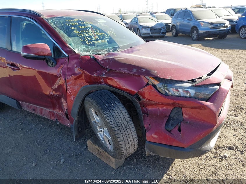 2T3B1RFV4KW066613 2019 TOYOTA RAV 4 photo no. 6