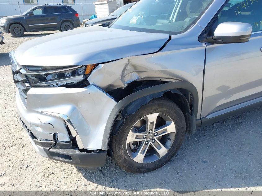 2025 Honda Pilot Exl VIN: 5FNYG1H43SB502288 Lot: 12413493