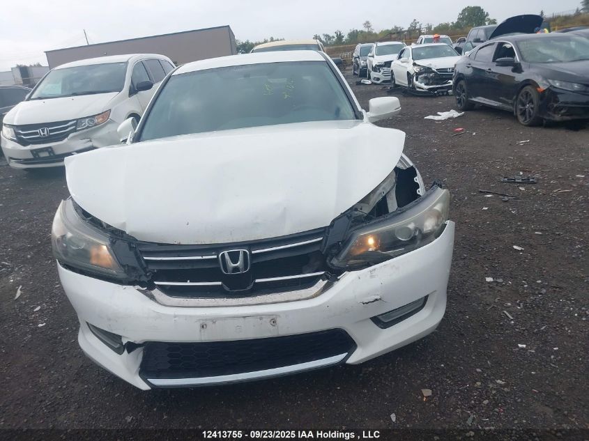2013 Honda Accord VIN: 1HGCR2F51DA804892 Lot: 12413755