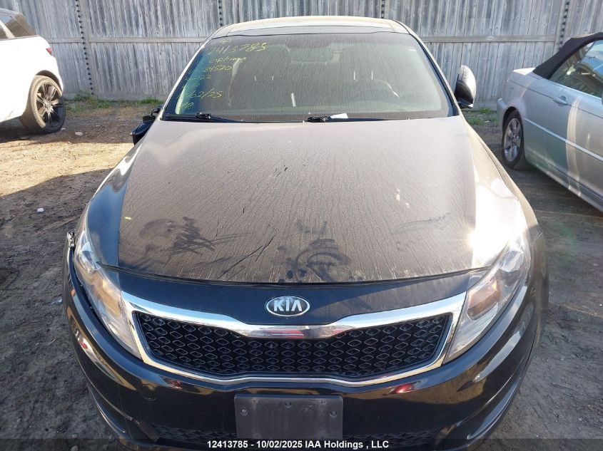 2013 Kia Optima Ex/Ex Luxury/Ex+ VIN: KNAGN4A72D5384520 Lot: 12413785