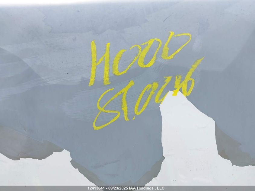 2007 GMC Savana Standard VIN: 1GTGG25V371196160 Lot: 12413841