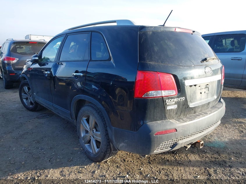 5XYKUDA27CG274590 2012 KIA SORENTO photo no. 3