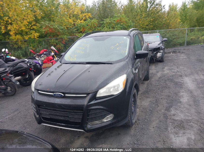 2014 Ford Escape VIN: 1FMCU0GX2EUC78835 Lot: 12414282
