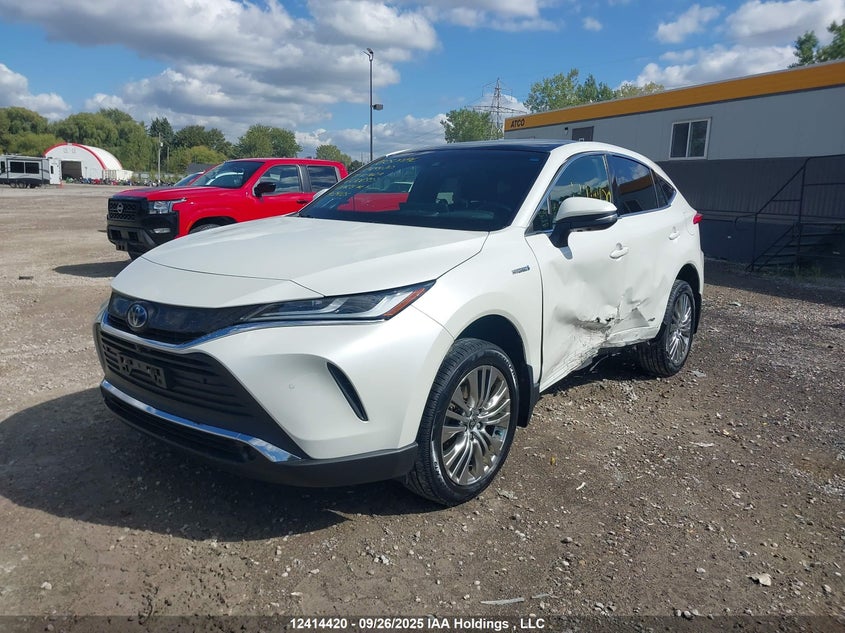 2021 Toyota Venza Le/Xle/Limited VIN: JTEAAAAH7MJ008393 Lot: 12414420