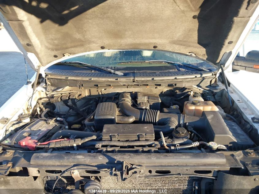 2010 Ford F-150 Fx4 VIN: 1FTFW1EV8AFD35184 Lot: 12414439