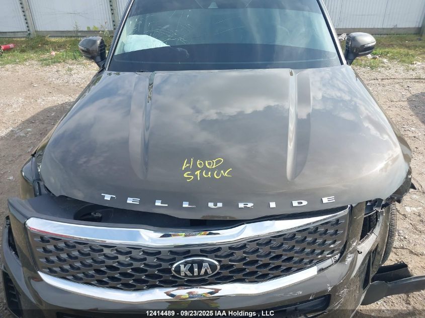 2020 Kia Telluride Ex VIN: 5XYP3DHCXLG007788 Lot: 12414489