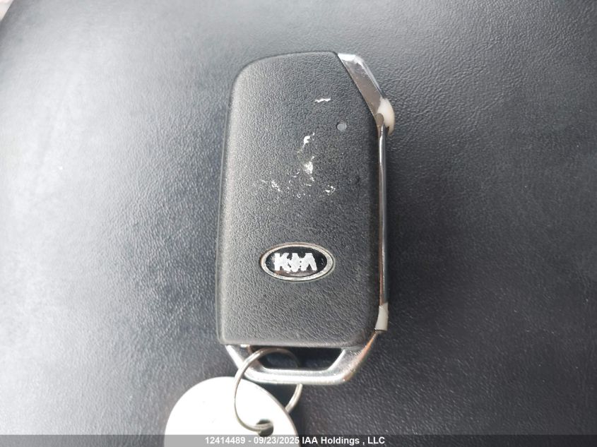 2020 Kia Telluride Ex VIN: 5XYP3DHCXLG007788 Lot: 12414489