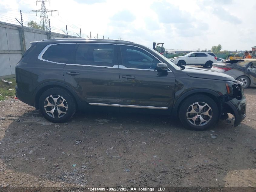 2020 Kia Telluride Ex VIN: 5XYP3DHCXLG007788 Lot: 12414489