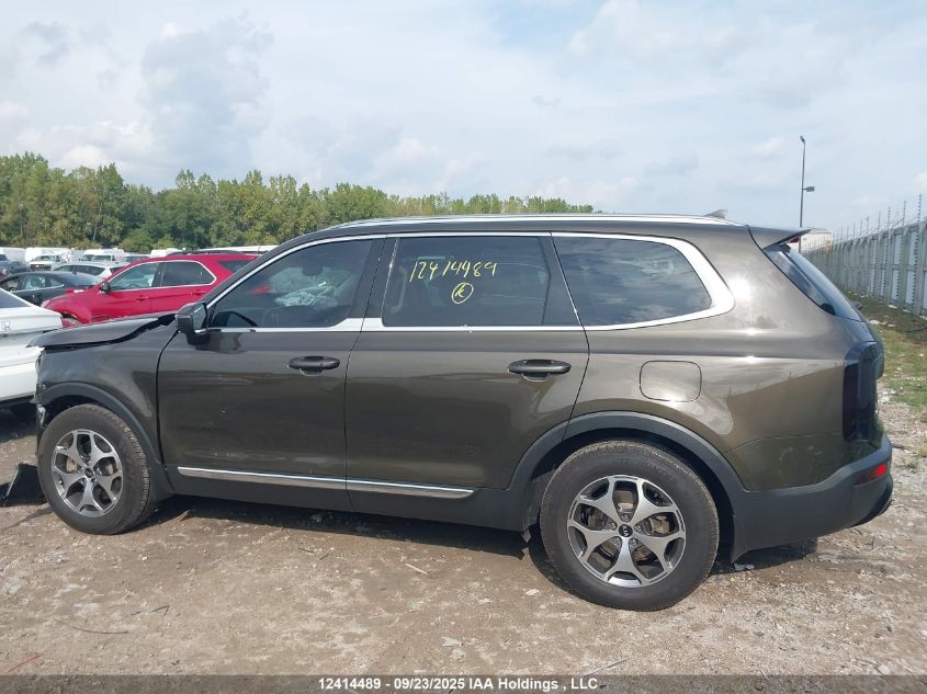 2020 Kia Telluride Ex VIN: 5XYP3DHCXLG007788 Lot: 12414489