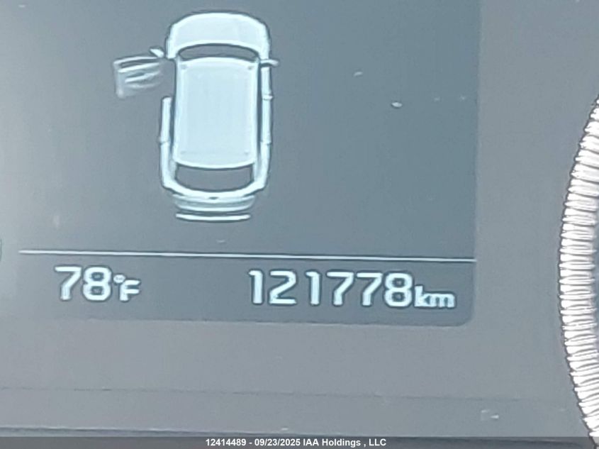 2020 Kia Telluride Ex VIN: 5XYP3DHCXLG007788 Lot: 12414489