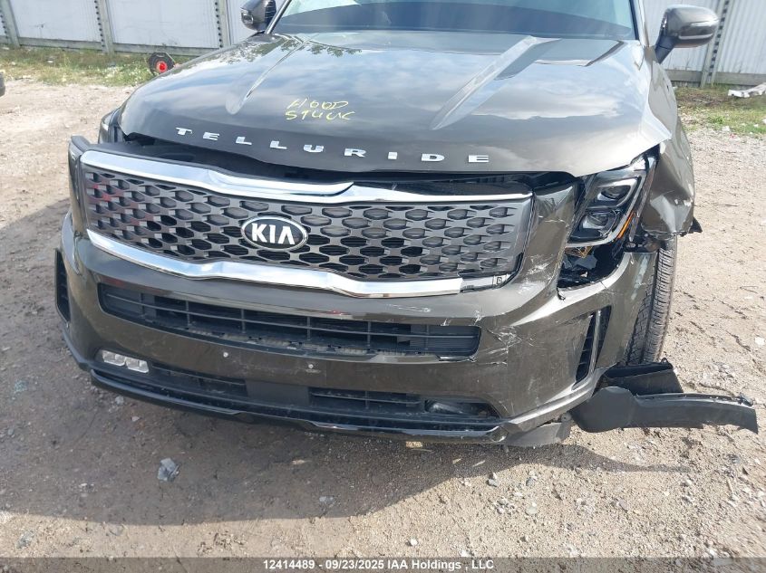 2020 Kia Telluride Ex VIN: 5XYP3DHCXLG007788 Lot: 12414489