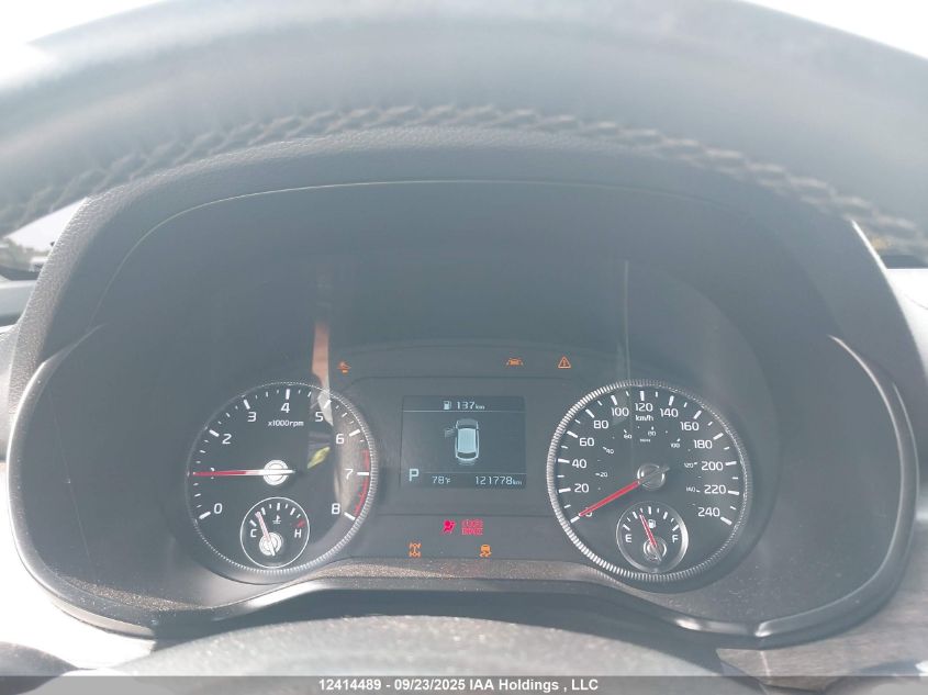 2020 Kia Telluride Ex VIN: 5XYP3DHCXLG007788 Lot: 12414489