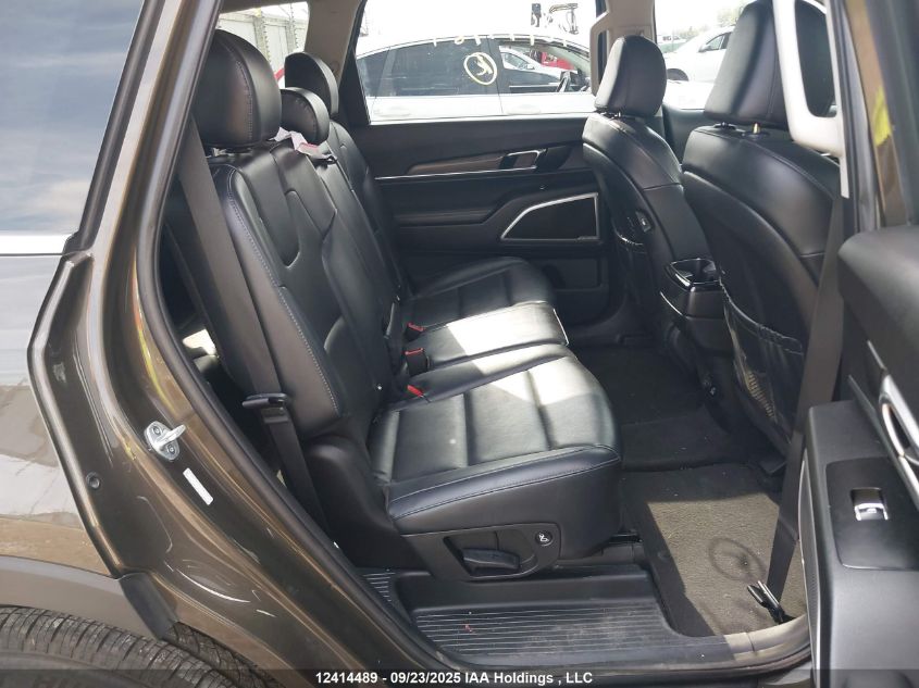 2020 Kia Telluride Ex VIN: 5XYP3DHCXLG007788 Lot: 12414489