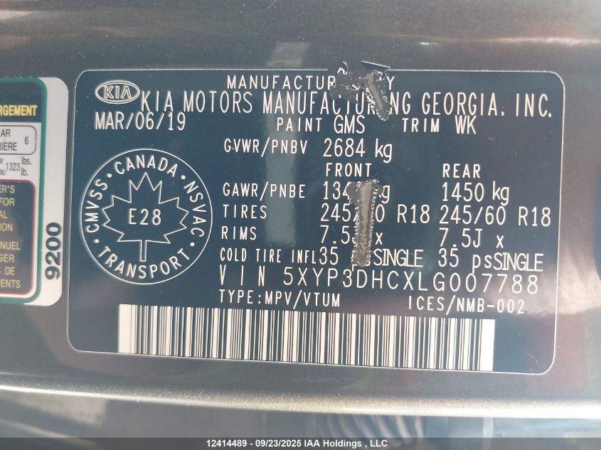 2020 Kia Telluride Ex VIN: 5XYP3DHCXLG007788 Lot: 12414489