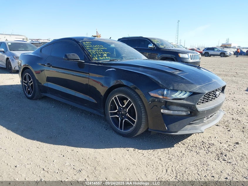 1FA6P8TH3K5103107 2019 Ford Mustang auction photo 1