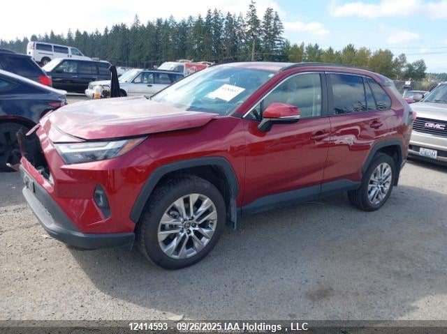2T3R1RFV6SW502974 2025 TOYOTA RAV 4 photo no. 3