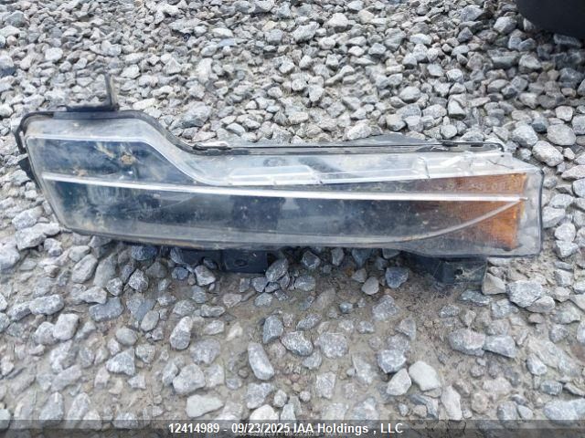 2023 Tesla Model Y VIN: 7SAYGDEE3PF774428 Lot: 12414989