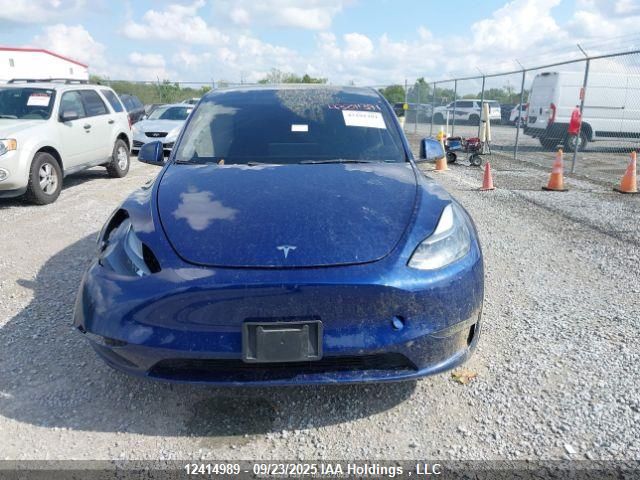 2023 Tesla Model Y VIN: 7SAYGDEE3PF774428 Lot: 12414989