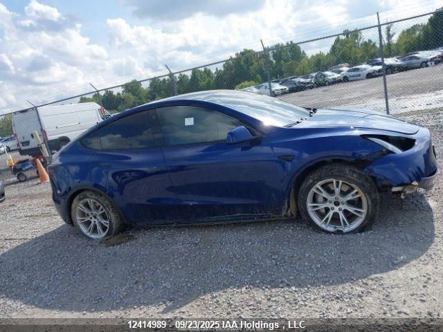 2023 Tesla Model Y VIN: 7SAYGDEE3PF774428 Lot: 12414989