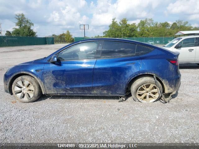 2023 Tesla Model Y VIN: 7SAYGDEE3PF774428 Lot: 12414989