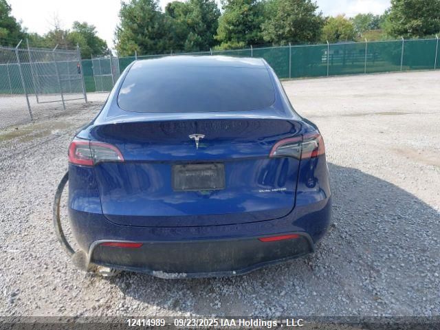 2023 Tesla Model Y VIN: 7SAYGDEE3PF774428 Lot: 12414989