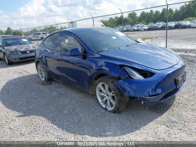 2023 Tesla Model Y VIN: 7SAYGDEE3PF774428 Lot: 12414989