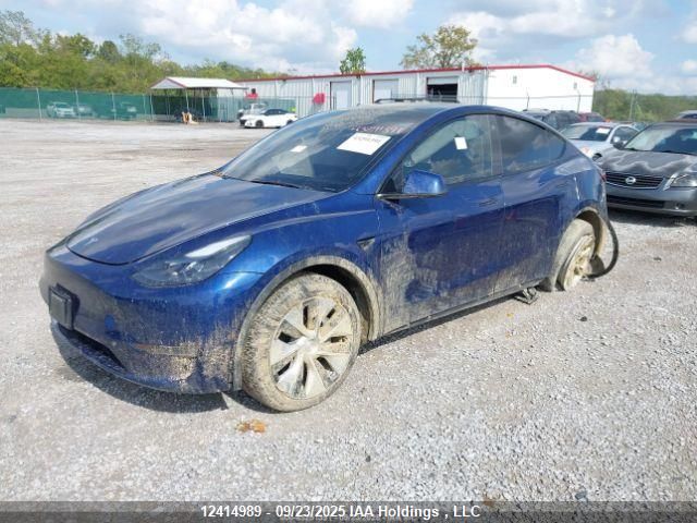 2023 Tesla Model Y VIN: 7SAYGDEE3PF774428 Lot: 12414989