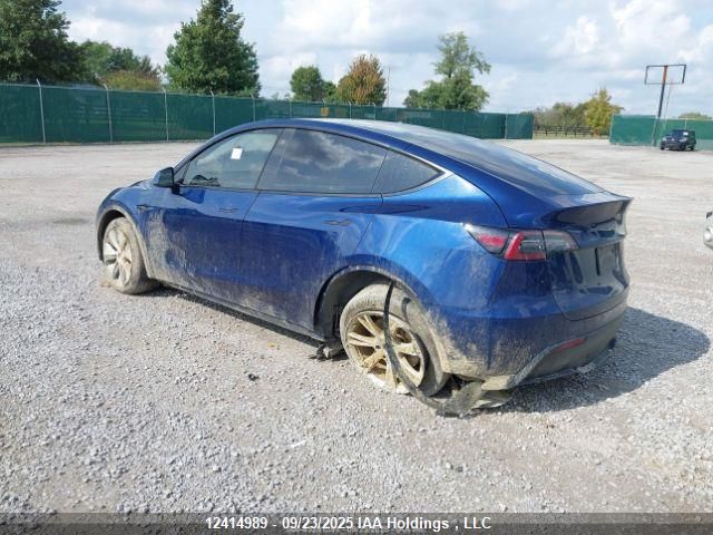 2023 Tesla Model Y VIN: 7SAYGDEE3PF774428 Lot: 12414989