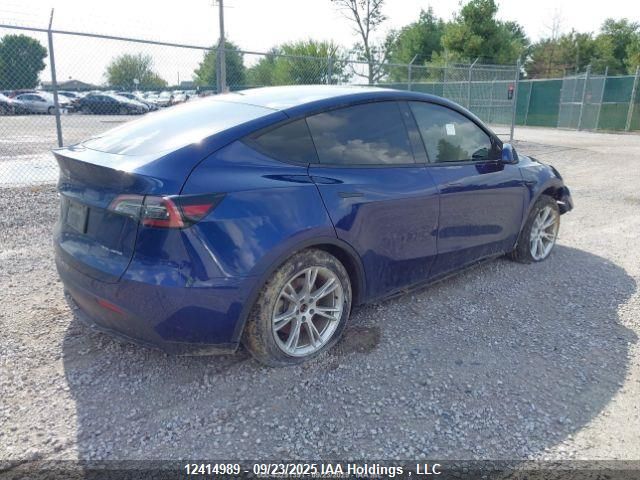 2023 Tesla Model Y VIN: 7SAYGDEE3PF774428 Lot: 12414989