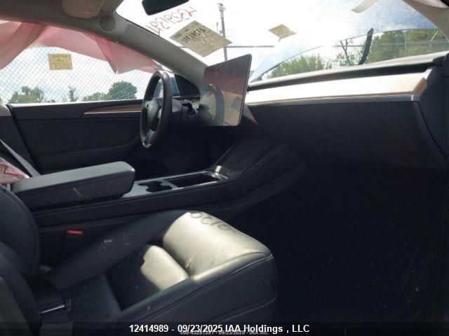 2023 Tesla Model Y VIN: 7SAYGDEE3PF774428 Lot: 12414989