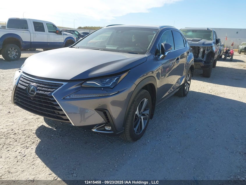JTJBARBZXK2200202 2019 LEXUS NX photo no. 2