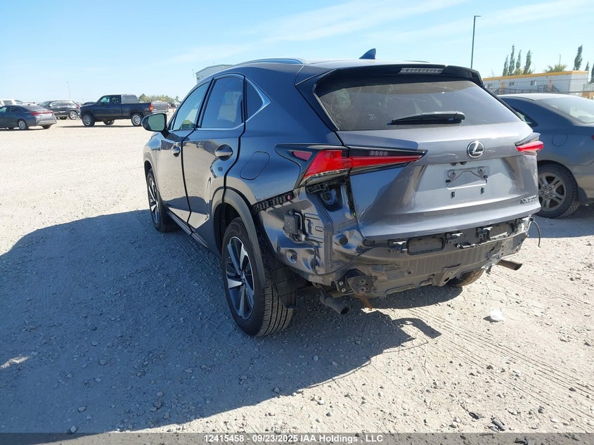JTJBARBZXK2200202 2019 LEXUS NX photo no. 3