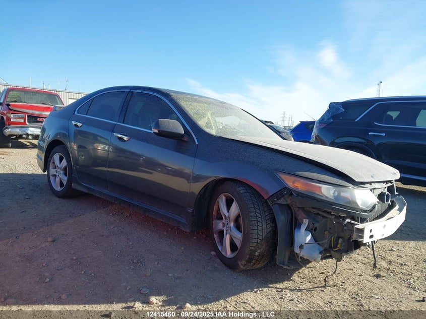 2009 Acura Tsx Premium/Technology Package VIN: JH4CU26619C800129 Lot: 12415460
