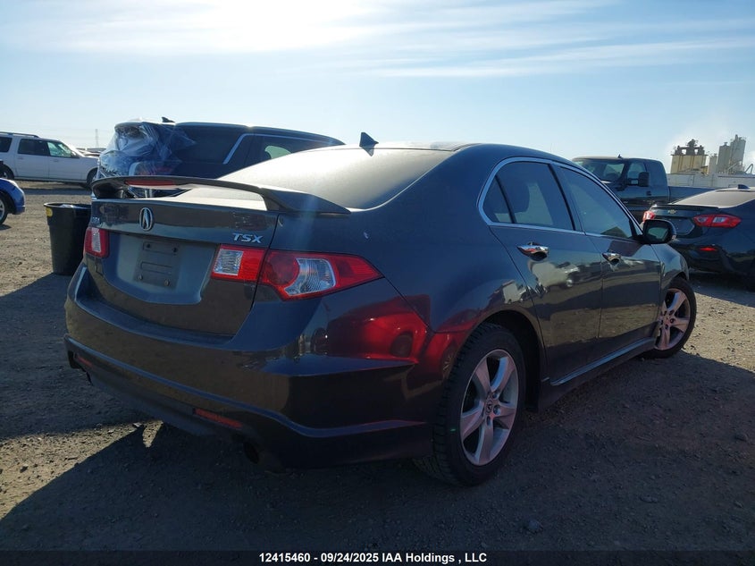 2009 Acura Tsx Premium/Technology Package VIN: JH4CU26619C800129 Lot: 12415460