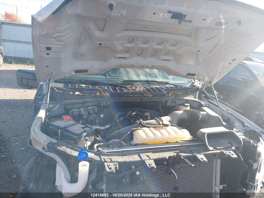 1FTEW2LP5RKD84089 2024 FORD F-150 photo no. 10