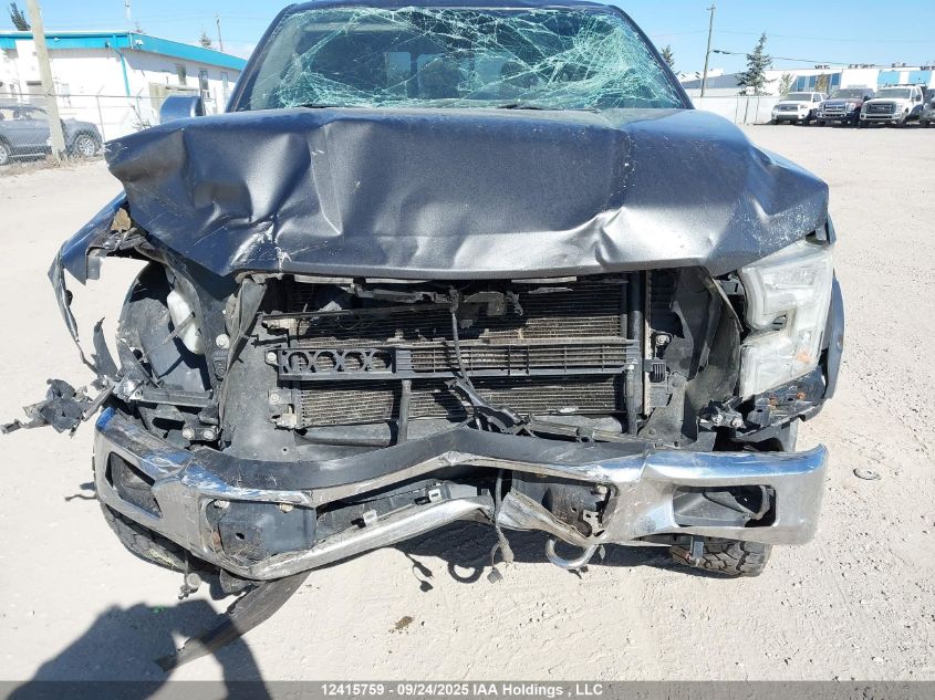 2015 Ford F150 Supercrew VIN: 1FTEW1EFXFFA93011 Lot: 12415759