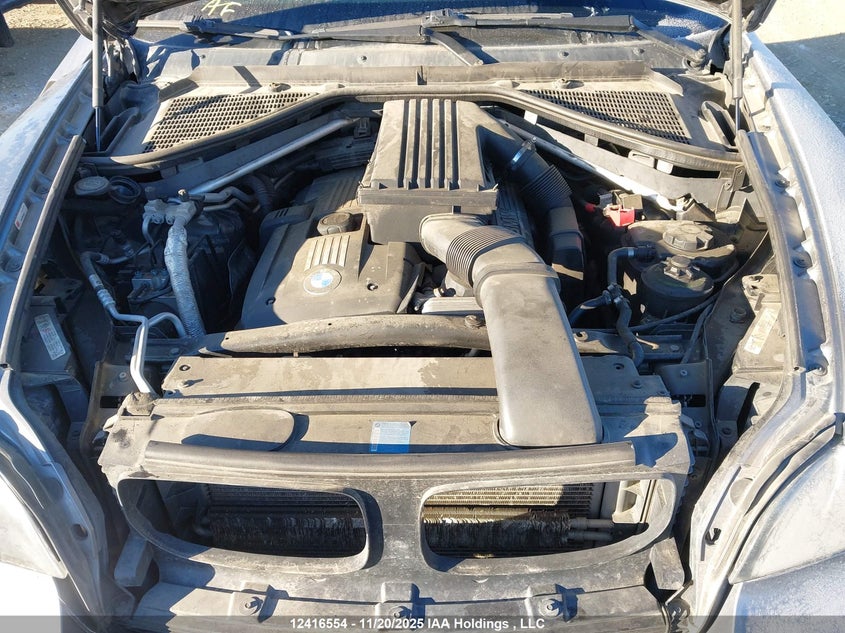 5UXFE43599L261986 2009 BMW X5 photo no. 10