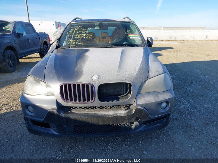 5UXFE43599L261986 2009 BMW X5 photo no. 12
