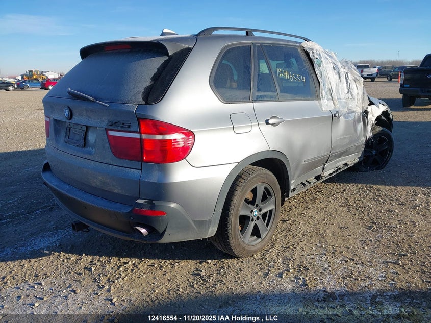 5UXFE43599L261986 2009 BMW X5 photo no. 4