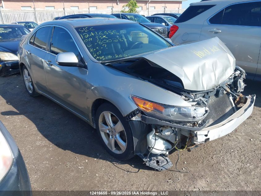 2009 Acura Tsx VIN: JH4CU26649C800285 Lot: 12416655