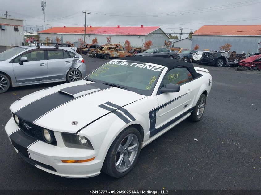2005 Ford Mustang Gt VIN: 1ZVFT85H455221364 Lot: 12416777