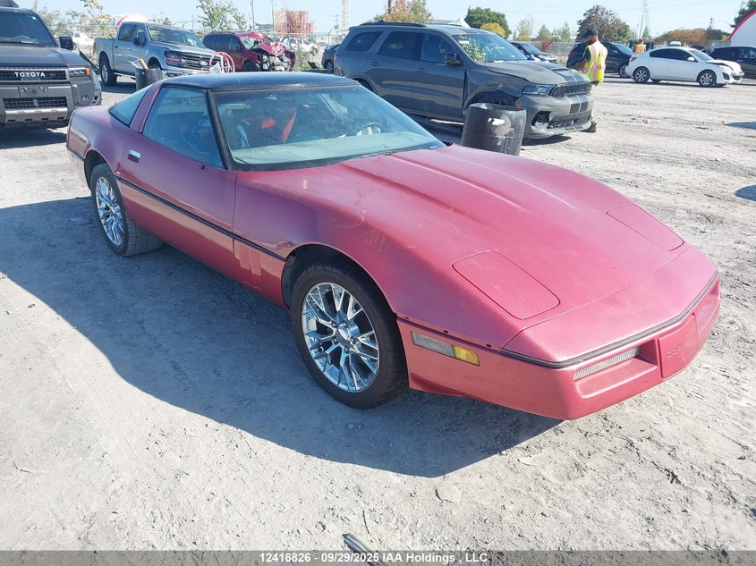 1G1YY2187J5121939 1988 Chevrolet Corvette auction photo 1