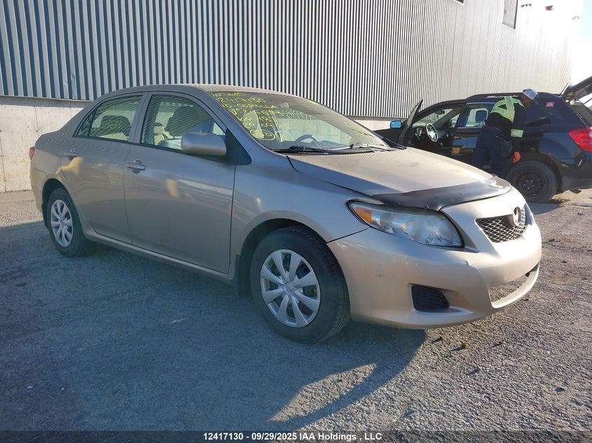 2T1BU4EE6AC215673 2010 Toyota Corolla auction photo 1