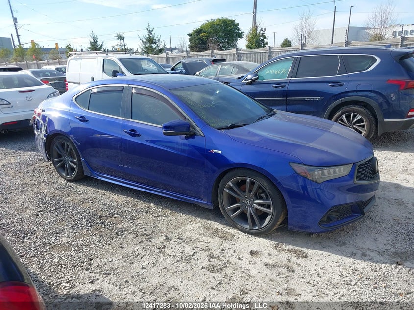 19UUB1F64JA801010 2018 Acura Tlx Tech A-Spec auction photo 1