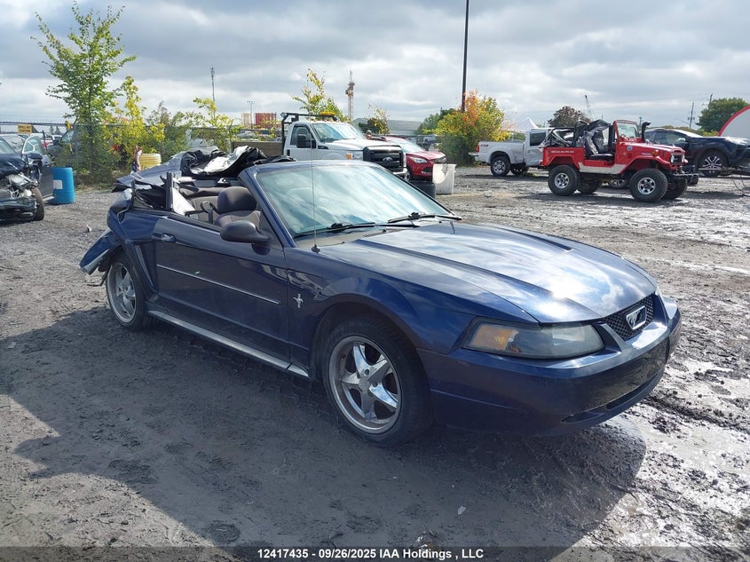 1FAFP44403F402280 2003 Ford Mustang auction photo 1
