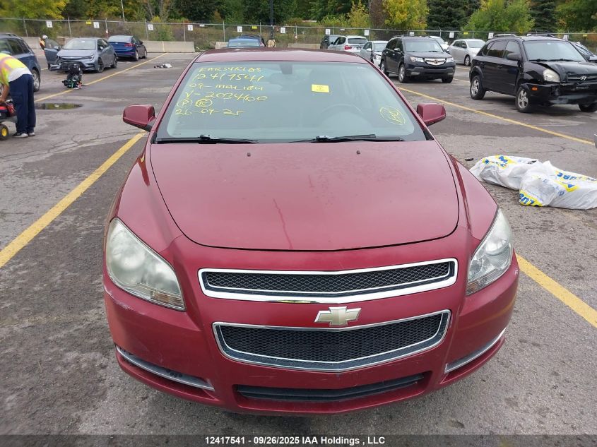 2009 Chevrolet Malibu 2Lt VIN: 1G1ZJ57B19F203460 Lot: 12417541