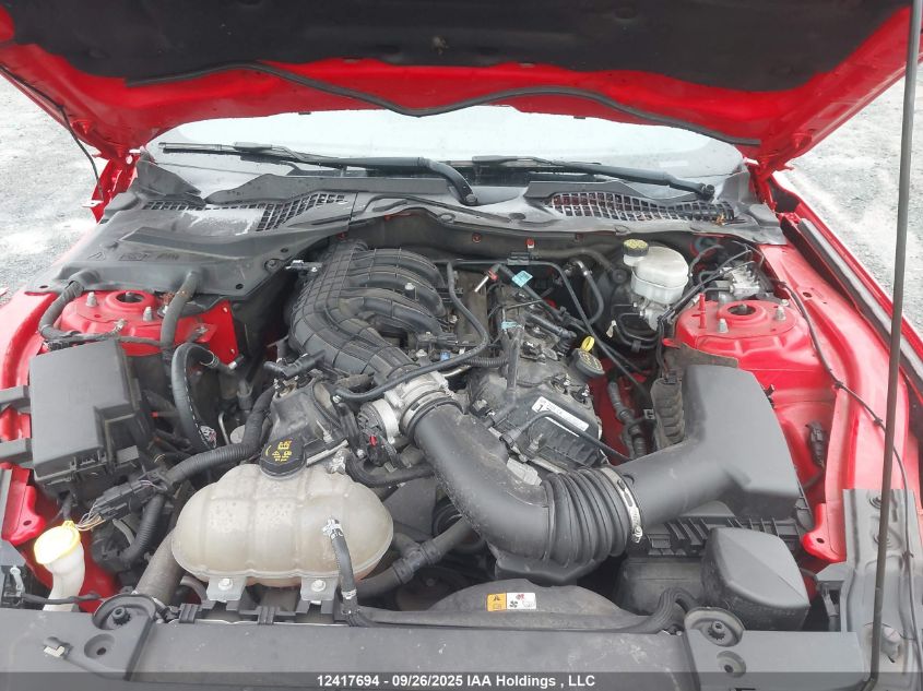 2017 Ford Mustang V6 VIN: 1FA6P8AM7H5299206 Lot: 12417694