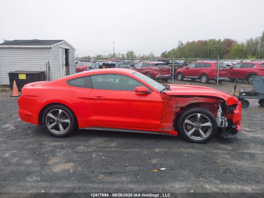 2017 Ford Mustang V6 VIN: 1FA6P8AM7H5299206 Lot: 12417694