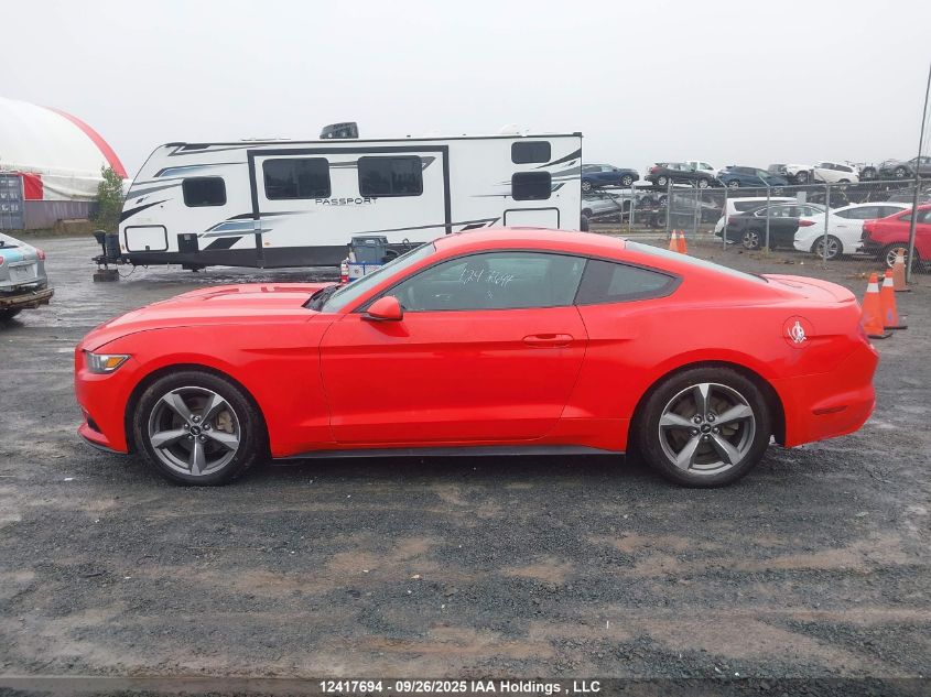 2017 Ford Mustang V6 VIN: 1FA6P8AM7H5299206 Lot: 12417694