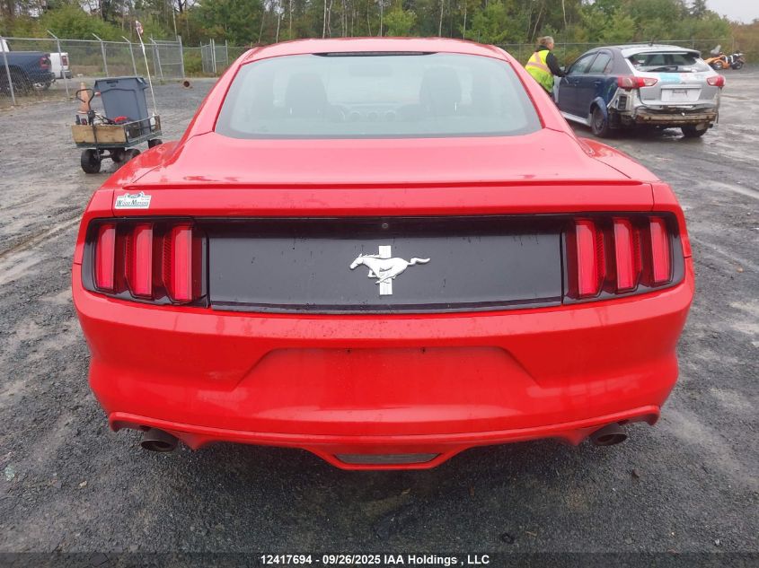 2017 Ford Mustang V6 VIN: 1FA6P8AM7H5299206 Lot: 12417694